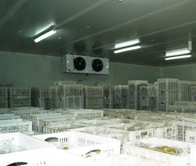 中山冷庫安裝 中山冷庫安裝